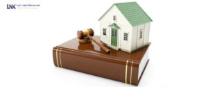 Chuyển mục đích sử dụng rừng, chủ dự án có buộc tự trồng rừng thay thế