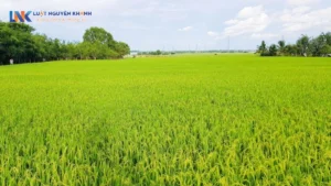 Chi phí làm sổ đỏ đất nông nghiệp là bao nhiêu tiền?