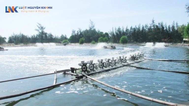 Đất nuôi trồng thủy sản có được chuyển mục đích không?