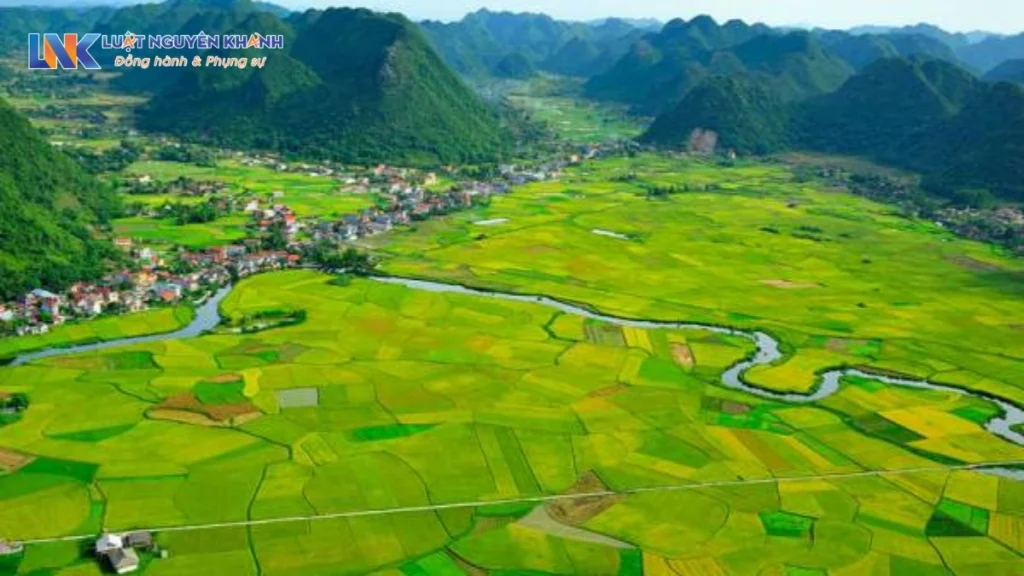 Diện tích tối thiểu tách thửa đất vườn