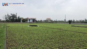 Quy định về bồi thường đất nông nghiệp khi bị Nhà nước thu hồi