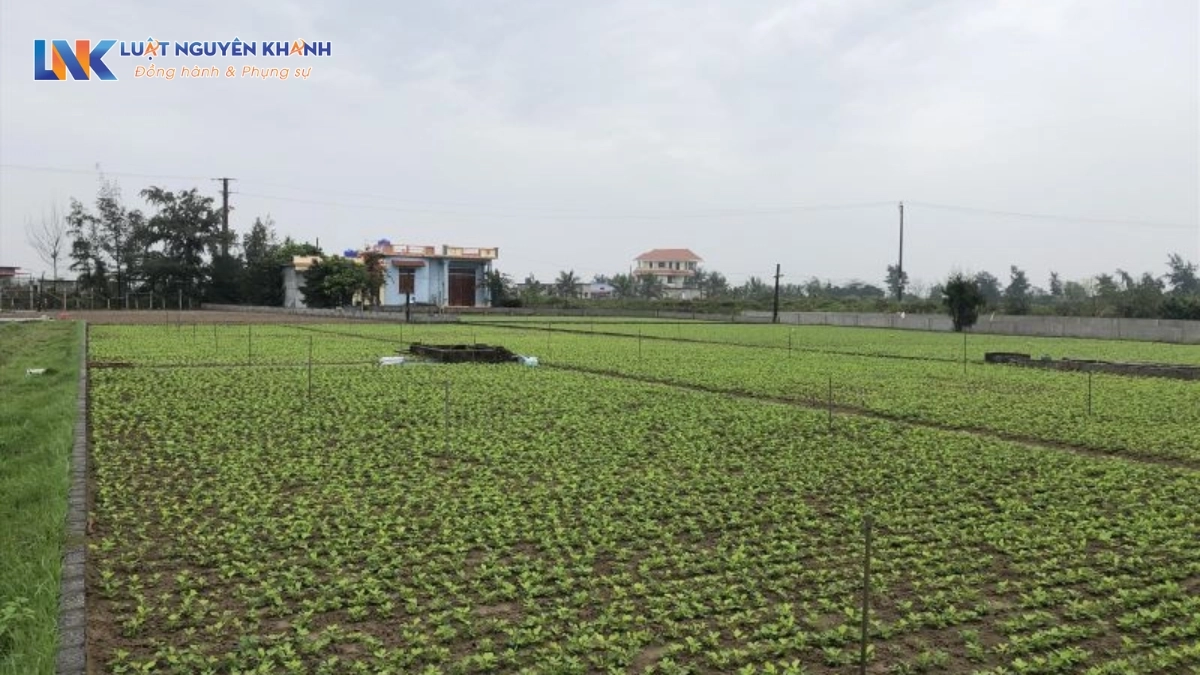 Quy định về bồi thường đất nông nghiệp khi bị Nhà nước thu hồi