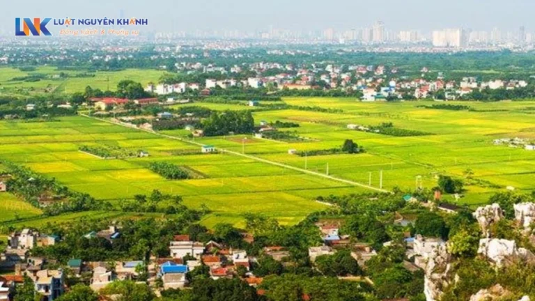Quy trình lên thổ cư: Hồ sơ, thủ tục và chi phí